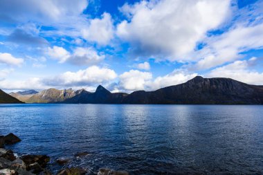 Norveç 'teki Senja Adası' nın sonbahar manzarası. Renkli yaprakları, dağları ve dingin fiyortları var..