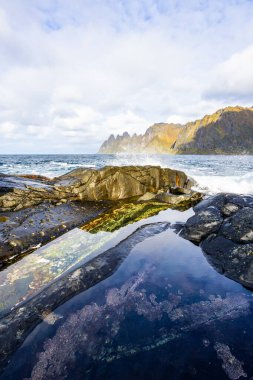 Autumn landscape of Senja Island in Norway with colorful foliage, mountains, and a serene fjord. clipart