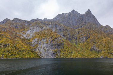 Lofoten Adaları, Norveç 'te sonbahar manzarası, renkli yeşillikler ve barışçıl fiyort içerir..