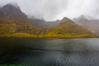 Lofoten Adaları, Norveç 'te sonbahar manzarası, renkli yeşillikler ve barışçıl fiyort içerir..