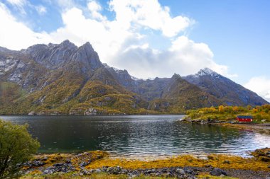 Lofoten Adaları, Norveç 'te sonbahar manzarası, renkli yeşillikler ve barışçıl fiyort içerir..
