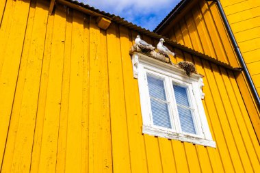 Norveç, Lofoten Adaları 'ndaki Nusfjord manzaralı, kırmızı ve sarı ahşap evler, tekneler ve kristal berrak sularla.