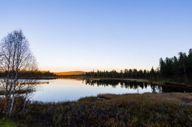 A peaceful sunset over a lake in Lapland, northern Sweden, with the reflection of trees in the still water. clipart