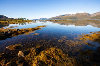 Lofoten Adaları, Norveç 'te sonbahar manzarası, renkli yeşillikler ve barışçıl fiyort içerir..