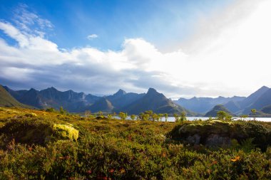 Lofoten Adaları, Norveç 'te sonbahar manzarası, renkli yeşillikler ve barışçıl fiyort içerir..