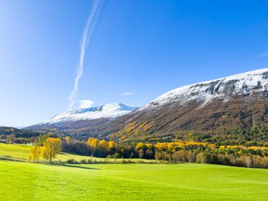 Norveç 'in güneyindeki Dovrefjell Ulusal Parkı' nda sonbahar manzarası, kar ve bitki örtüsüyle çevrili.