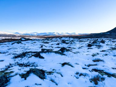 Norveç 'in güneyindeki Dovrefjell Ulusal Parkı' nda sonbahar manzarası, kar ve bitki örtüsüyle çevrili.