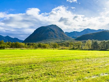 Lofoten Adaları, Norveç 'te sonbahar manzarası, renkli yeşillikler ve barışçıl fiyort içerir..