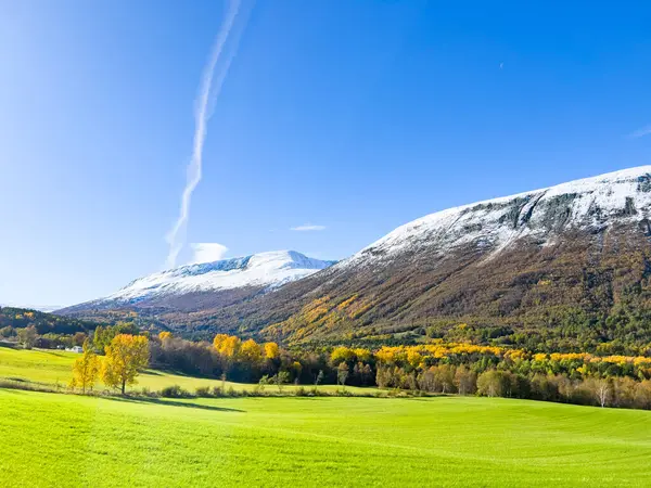 Norveç 'in güneyindeki Dovrefjell Ulusal Parkı' nda sonbahar manzarası, kar ve bitki örtüsüyle çevrili.