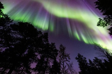İsveç 'in Kiruna kentindeki kuzey ışıkları Eylül ayında sakin suları yıldızlar ve ormanlarla yansıtıyor..