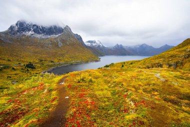 Norveç 'teki Senja Adası' nın sonbahar manzarası. Renkli yaprakları, dağları ve dingin fiyortları var..
