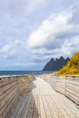 Norveç 'teki Senja Adası' nın sonbahar manzarası. Renkli yaprakları, dağları ve dingin fiyortları var..