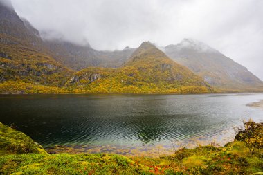 Lofoten Adaları, Norveç 'te sonbahar manzarası, renkli yeşillikler ve barışçıl fiyort içerir..