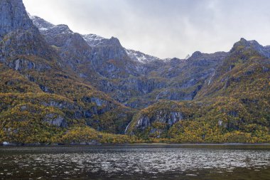 Lofoten Adaları, Norveç 'te sonbahar manzarası, renkli yeşillikler ve barışçıl fiyort içerir..