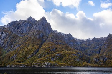 Lofoten Adaları, Norveç 'te sonbahar manzarası, renkli yeşillikler ve barışçıl fiyort içerir..