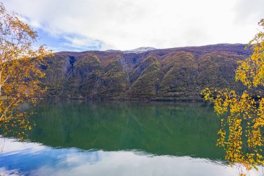 Norveç 'in Lustrafjorden kentindeki sonbahar manzarasında berrak su yansımaları, dağlar ve renkli yeşillikler yer almaktadır..