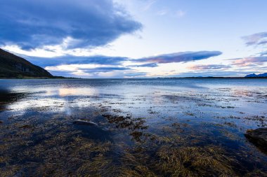 Lofoten Adaları, Norveç 'te sonbahar manzarası, renkli yeşillikler ve barışçıl fiyort içerir..