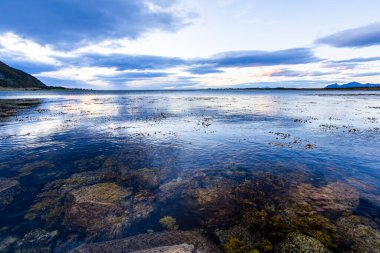 Lofoten Adaları, Norveç 'te sonbahar manzarası, renkli yeşillikler ve barışçıl fiyort içerir..