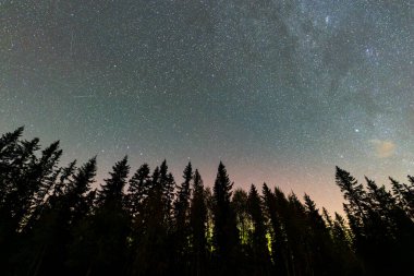 Kuzey ışıkları Norveç 'te bir ormanın üzerindeki gece gökyüzünü aydınlatıyor. Yıldızlı bir gökyüzü ve siluette ağaçlar var..