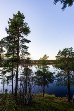 A peaceful sunset over a lake in Lapland, northern Sweden, with the reflection of trees in the still water. clipart