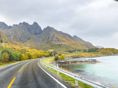 Lofoten Adaları, Norveç 'te sonbahar manzarası, renkli yeşillikler ve barışçıl fiyort içerir..