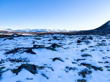 Norveç 'in güneyindeki Dovrefjell Ulusal Parkı' nda sonbahar manzarası, kar ve bitki örtüsüyle çevrili.