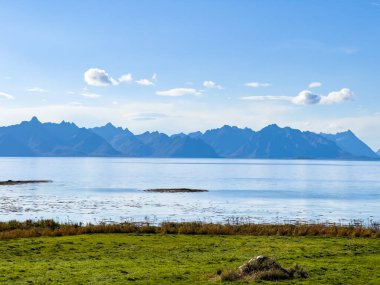 Lofoten Adaları, Norveç 'te sonbahar manzarası, renkli yeşillikler ve barışçıl fiyort içerir..