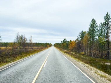 Finlandiya 'nın düz bir yolundaki canlı sonbahar ormanından birinci şahıs bakış açısıyla geçmek.