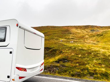 Beyaz karavan otlayan ren geyiklerinin otladığı çimenli bir tepenin yakınındaki bir yolda yol alırken doğanın huzurunun tadını çıkarıyor.