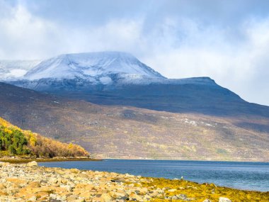 Norveç 'teki Lyngen Alpleri' nin sonbahar manzarası. Karlı zirveleri, dramatik bulutları ve sakin fiyortları var..
