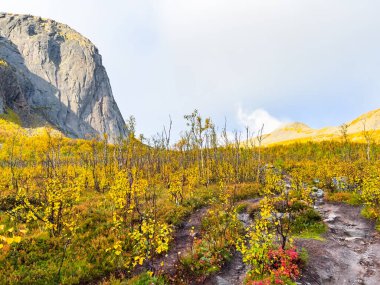 Stunning autumn landscape of Segla Mountain in Senja Island, Norway, with dramatic cliffs and fjords. clipart