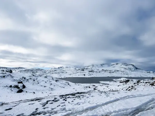 Norveç 'in güneyindeki Sognefjellsvegen yolu boyunca uzanan kış manzarası, karla kaplı dağlar ve geniş, sakin bir arazi içerir..