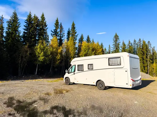 Ormanın yakınına park etmiş beyaz karavan vahşi doğada huzurlu bir tatil yapıyor.