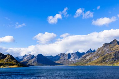 Lofoten Adaları, Norveç 'te sonbahar manzarası, renkli yeşillikler ve barışçıl fiyort içerir..