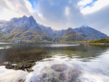 Lofoten Adaları, Norveç 'te sonbahar manzarası, renkli yeşillikler ve barışçıl fiyort içerir..