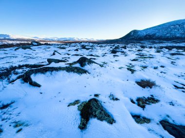 Norveç 'in güneyindeki Dovrefjell Ulusal Parkı' nda sonbahar manzarası, kar ve bitki örtüsüyle çevrili.