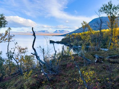 İsveç 'in Kiruna şehrinde sonbahar yeşillikleri ve güzel göl manzaralı bir yolda karavanla yolculuk yapmak..