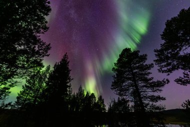 İsveç 'in Kiruna kentindeki kuzey ışıkları Eylül ayında sakin suları yıldızlar ve ormanlarla yansıtıyor..