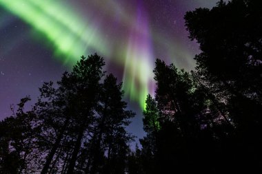 İsveç 'in Kiruna kentindeki kuzey ışıkları Eylül ayında sakin suları yıldızlar ve ormanlarla yansıtıyor..