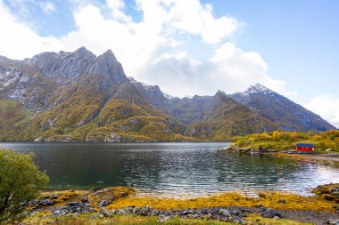 Lofoten Adaları, Norveç 'te sonbahar manzarası, renkli yeşillikler ve barışçıl fiyort içerir..