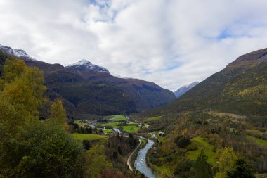 Norveç 'te sonbahar manzarası çevresindeki tepelerde otlayan koyunlar, bir inek ve renkli yapraklar var..
