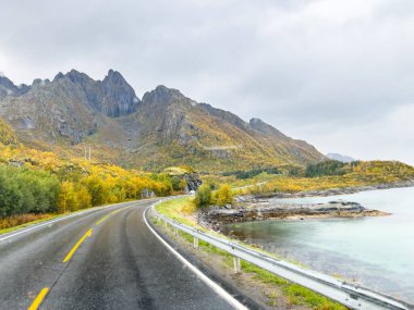 Lofoten Adaları, Norveç 'te sonbahar manzarası, renkli yeşillikler ve barışçıl fiyort içerir..
