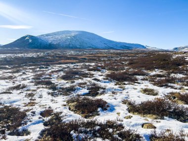 Norveç 'in güneyindeki Dovrefjell Ulusal Parkı' nda sonbahar manzarası, kar ve bitki örtüsüyle çevrili.