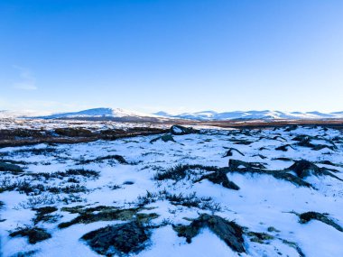 Norveç 'in güneyindeki Dovrefjell Ulusal Parkı' nda sonbahar manzarası, kar ve bitki örtüsüyle çevrili.