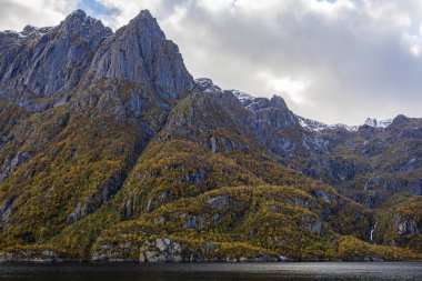 Lofoten Adaları, Norveç 'te sonbahar manzarası, renkli yeşillikler ve barışçıl fiyort içerir..