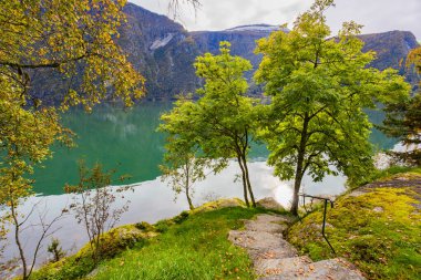 Autumn landscape in Lustrafjorden, Norway, featuring clear water reflections, mountains, and colorful foliage. clipart