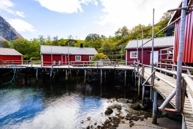 Norveç, Lofoten Adaları 'ndaki Nusfjord manzaralı, kırmızı ve sarı ahşap evler, tekneler ve kristal berrak sularla.