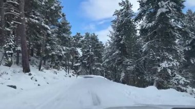 Fransa 'nın başkenti Capcir' deki çam ormanlarında karlı yolda giden bir araç.