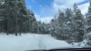 Capcir, Cerdagne, Fransız Pireneleri 'ndeki yollar ve ağaçlar karla kaplıdır.