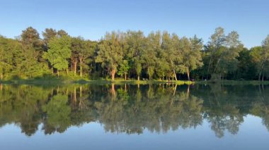 Sakin, temiz bir gökyüzünün altındaki ağaçları çevreleyen gölün aynaları.